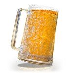 Chillable 16 oz Double-Walled Beer Mug