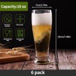 6-Piece 16oz Beer Glass Set