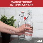 Ilyapa 16 oz Clear Flip Top Glass Beer Bottles for Home Brewing, Set of 12