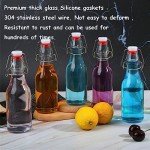 ZEBEIYU 10 Pack Swing Top Glass Bottles 8.5 oz,Flip Top Beer Brewing Bottles for Kombucha, Homemade, Kefir, Water, Beverages, Soda, Oil, Vinegar, Fermentation,Limoncello