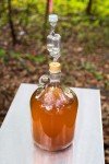 1-Gallon Mead Making Kit – Complete Honey Wine Brewing Kit with Reusable Equipment, Glass Fermenter, Airlock & Yeast – DIY Homebrew Kit for Beginners & Experts- Mead Kit