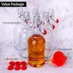 UrSpeedtekLive 6 Pack 16oz Swing Top Glass Bottles, 500ML Glass Brewing Bottles with Airtight Stoppers for Beer, Kombucha, Kefir, Vanilla Extract(Bonus Gaskets and Funnel)