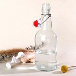 UrSpeedtekLive 6 Pack 16oz Swing Top Glass Bottles, 500ML Glass Brewing Bottles with Airtight Stoppers for Beer, Kombucha, Kefir, Vanilla Extract(Bonus Gaskets and Funnel)