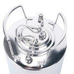 YB YaeBrew Stainless Steel 2.6 Gallon Mini Ball Lock Keg System For Small Batch HomeBrewing Beer Brewing Strap Handle (10L)