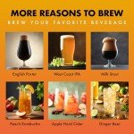 iGulu S1 All-In-One Automated Home Craft Beer Brewer