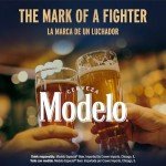 Modelo Especial Beer 4.4% ABV, 12 oz, 24 pk