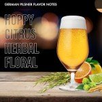 iGulu One Gallon Craft Beer Brew Ingredient Kit (Varies Type) English Porter, German Helles, German Pilsner, Traditional Amber Ale ABV: 5~5.5% vol (Variety Pack, 4 Brew Kit Combo)