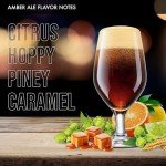 iGulu One Gallon Craft Beer Brew Ingredient Kit (Varies Type) English Porter, German Helles, German Pilsner, Traditional Amber Ale ABV: 5~5.5% vol (Variety Pack, 4 Brew Kit Combo)