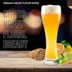 iGulu One Gallon Craft Beer Brew Ingredient Kit (Varies Type) English Porter, German Helles, German Pilsner, Traditional Amber Ale ABV: 5~5.5% vol (Variety Pack, 4 Brew Kit Combo)