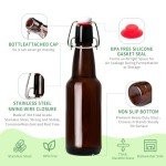 TienChoo 12oz Amber Glass Beer Bottles with Flip Top Airtight Lids, 10 Pack Swinging Top Home Brewing Bottles for Kombucha, Vanilla Extract, Kefir, Juice, Wine, Fermentation