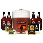 BrewDemon Premium Beer Kit with Bottles - Conical Fermenter Eliminates Sediment and Makes Great Tasting Home Made Beer - 1 Gal. Recipe Included