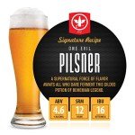BrewDemon Premium Beer Kit with Bottles - Conical Fermenter Eliminates Sediment and Makes Great Tasting Home Made Beer - 1 Gal. Recipe Included