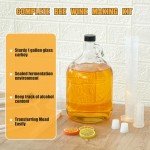 Ziliny 2 Set Mead Making Kit Complete for Home Brewing Starter Sets Includes 1 Gallon Glass Carboy, Auto Siphon, Hydrometer, Alcohol Percentage Tester Jar, Bottle Filler, Airlock, Plug Funnel