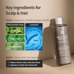 BENTON Beer Yeast Shampoo, Hair Loss Relief Biotin Shampoo for Thinning Hair – Volumizing, Regrowth Therapy, Scalp Calming – Paraben, Sulphate Free - 16.0 fl.oz.