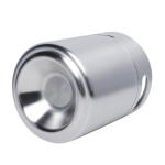 Mini Keg Growler, Pressurized Growler 64 OZ 304 Stainless Steel Mini Keg with Seal knob Cover for Home kitchen Brewing Beer(2L)