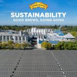 Sierra Nevada Pale Ale, 12 pk, 12 oz bottles, 5.6% ABV