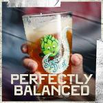 Elysian Space Dust IPA, 6 pk, 12 oz bottles, 8.2% ABV