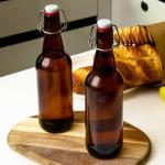 TienChoo 16.5oz Amber Beer Bottles with Flip Caps Set of 10, Swinging Top Glass Brewing Bottles with Airtight Lids for Vanilla Extract, Fermentation Kombucha, Beverage, Water, Kefir, Soda