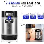 Dbgogo Corny Keg New 2.5 Gallon Ball Lock Keg, 304 Stainless Steel Cornelius Keg Beer Keg with Ball Lock Quick Disconnects & Ball Lock Keg Posts, 2.5 Gallon Keg with Dual Rubber Hanlde for Homebrew