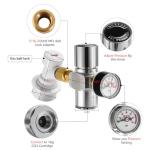 Dbgogo Hold Stable Pressure 0-60 PSI Mini Keg Regulator, No Leaking Portable Cornelius Corny Beer Growler Outdoor Picnic Party Carbonation CO2 Gas Ball Lock Disconnect Mini keg Charger Regulator