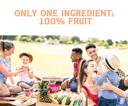 Nature's Turn Superfruit Freeze-Dried Snack Pack