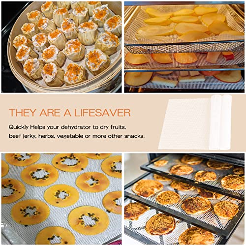 12 Pack Non-Stick Silicone Dehydrator Sheets