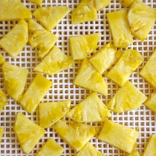 Silicone Dehydrator Sheets - 14 x 14 Inch Set