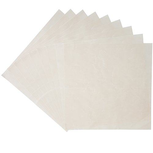 Flexible Reusable Teflon Dehydrator Sheets - 10 Pack
