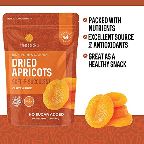 Unsweetened Dried Apricots - 1 Pound Bulk