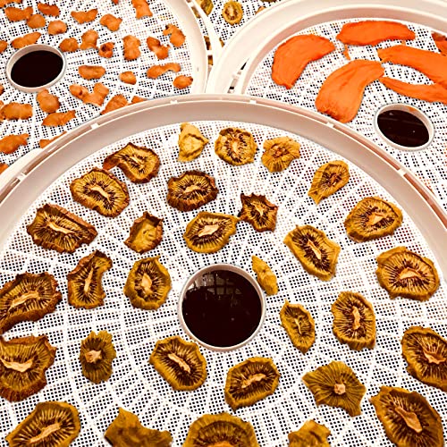 8 Pack Round Silicone Dehydrator Sheets - Reusable