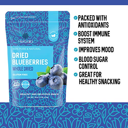 Dried Unsweetened Blueberries, 453.6g Pack