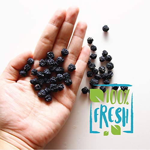 Dried Unsweetened Blueberries, 453.6g Pack