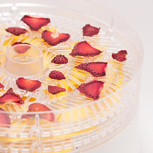 5-Rack Commercial Chef Food Dehydrator - White