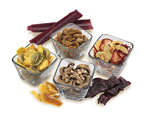 Hamilton Beach Digital Food Dehydrator with Timers