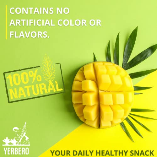 Organic Dried Mango Slices - 1 lb Non-GMO