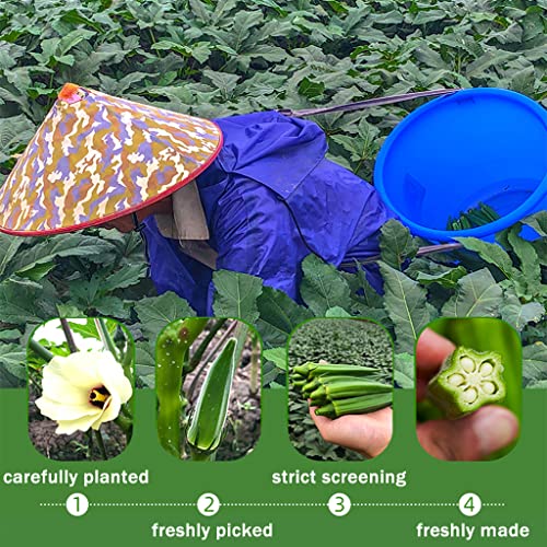 Okra Chips Snacks - Freeze Dried Crunchy Vegetable