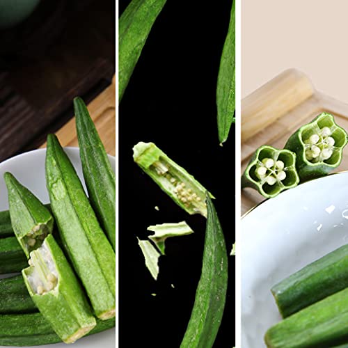 Okra Chips Snacks - Freeze Dried Crunchy Vegetable