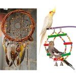 800 Wooden Beads for Jewelry Making and Crafts