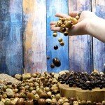 700 Assorted Wooden Beads for Jewelry Making