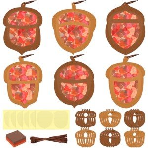 24 Sets Acorn Tissue Sign Craft Kit