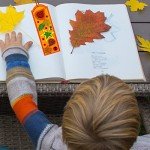 Fall Craft Kits: DIY Leaf Bookmarks & Decorations