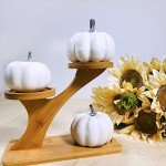 Assorted White Faux Pumpkins for Seasonal Decor