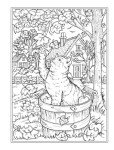 Autumn Harvest Coloring Book for Adults