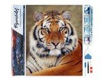 Tiger Eye 5D Diamond Painting Kit for Adults
