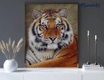 Tiger Eye 5D Diamond Painting Kit for Adults