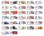 Professional Domestic Sewing Machine Sewing Foot Presser Foot Presser Feet Set for Singer, Brother, Janome, Babylock, Elna,Toyota,New Home,Simplicity and Low Shank Sewing Machines