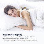 Lane Linen 100% Egyptian Cotton King Sheet Set - Luxury 1000 Thread Count King Size Sheets, 4Pc Sateen Weave King Bed Sheets, Hotel Bedding Sheets & Pillowcases, 16" King Sheets Deep Pocket - Charcoal