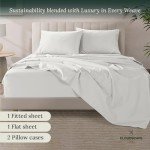 100% Egyptian Cotton Sheets Queen Size Bed Set - 4 Pcs, White Queen Sheet Set | 1000 Thread Count Egyptian Cotton Sheets Queen | Hotel Luxury Bed Sheets, Upto 17"Deep Pocket Queen Sheets -White Sheets