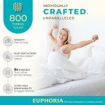 THREAD SPREAD 100% Egyptian Cotton Sheets Queen Size - 800 High Thread Count Sheets Queen, 4 PC White Luxury Hotel Sheets for Queen Size Bed, 16" Deep Pocket Sateen Weave Soft Cooling Bedding Sets