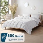 SONORO KATE 100% Egyptian Cotton Sheets - 800 Thread Count, Luxury Hotel Sateen Weave Sheets, Cooling & Breathable Bed Sheets Set, Fits 16" Deep - 4 PC (White,Queen)